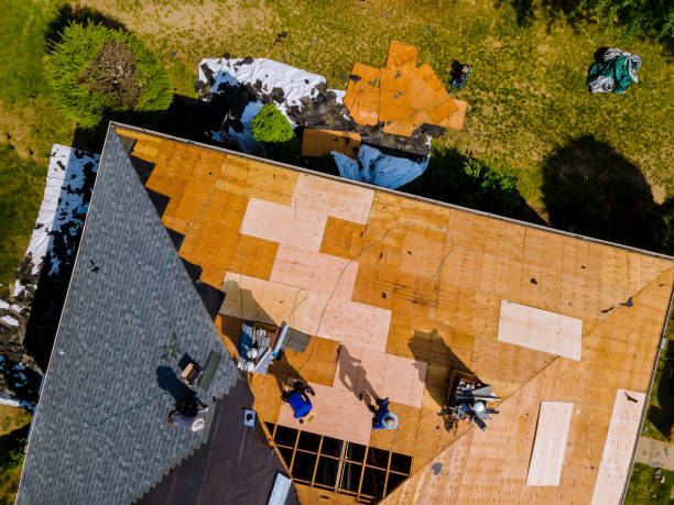 Best Metal Roofing Contractor  in Rochester, MN