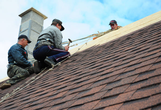 Professional Roofing Contractor in Rochester, MN