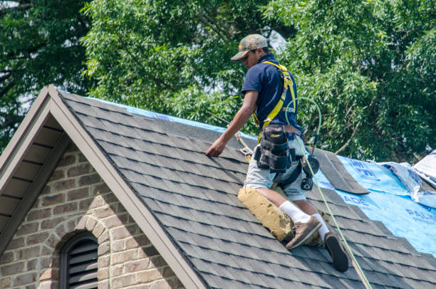 Quick and Trustworthy Emergency Roof Repair Services in Rochester, MN